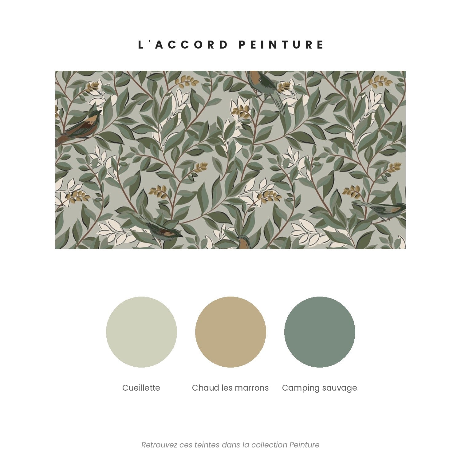 Accord peinture pour le papier peint Coloc — Cueillette, Chaud les marrons et Camping sauvage
