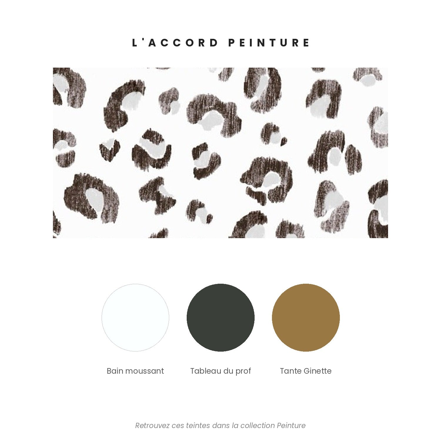 Accord peinture pour le papier peint Graou noir et blanc — Bain moussant, Tableau du prof et Tante Ginette