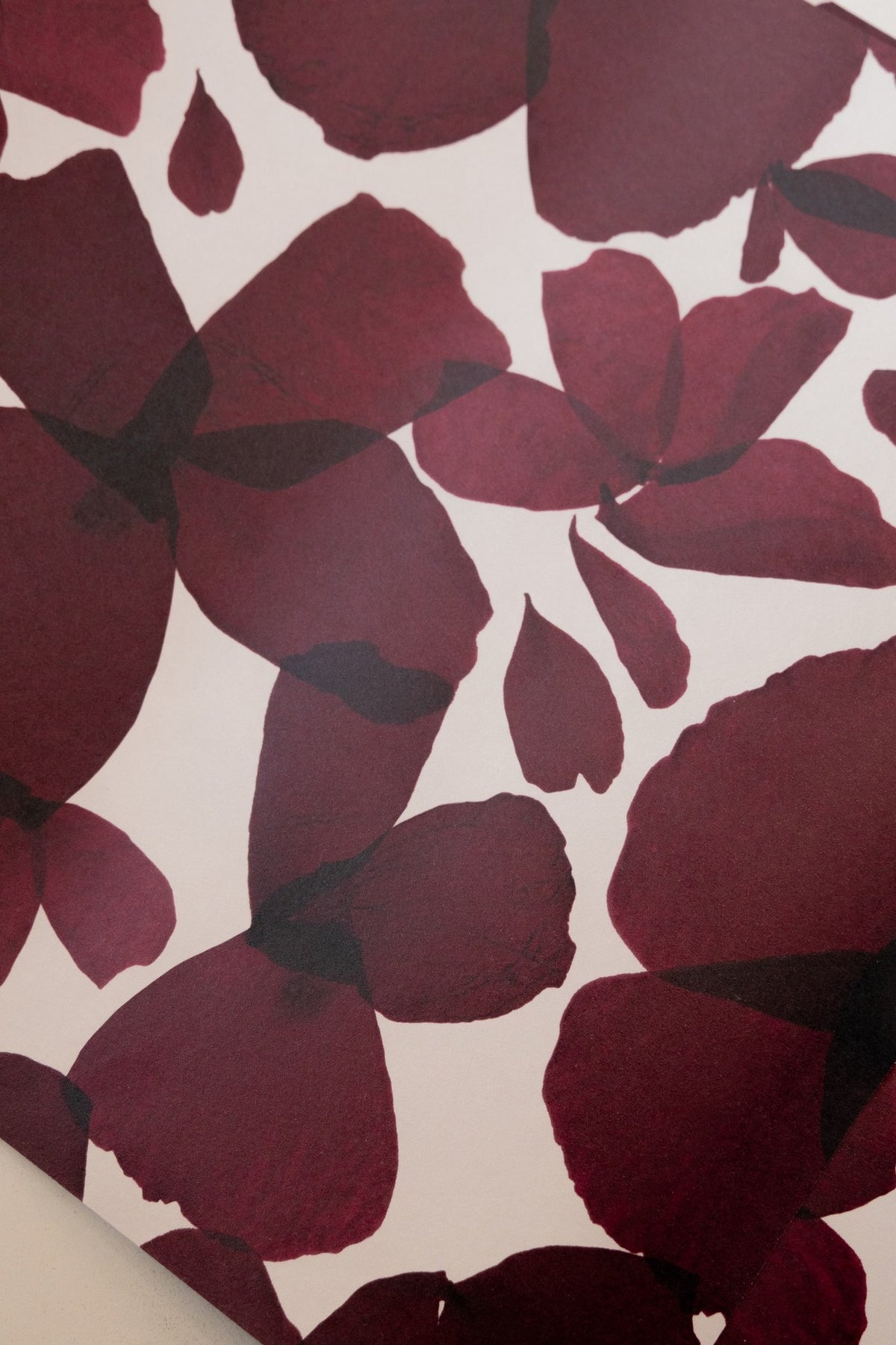 Gros plan du papier peint Les Commères Bordeaux, pétales d'hortensia et leurs nervures