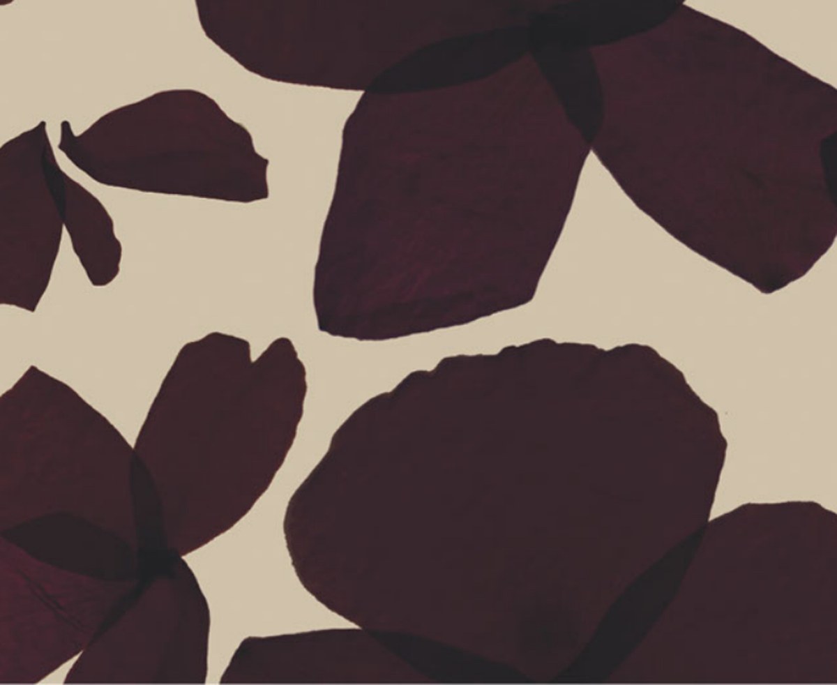 Échantillon du papier peint Les Commères coloris Prune, pétales d'hortensia sur fond greige