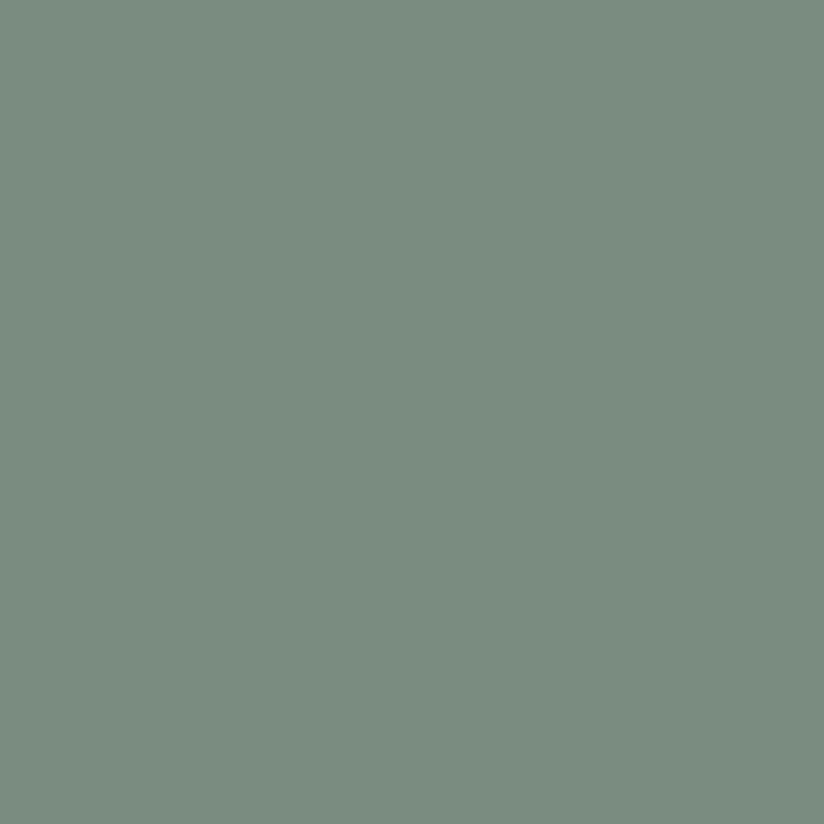 Peinture Camping sauvage Bilboquet Deco, teinte vert sauge