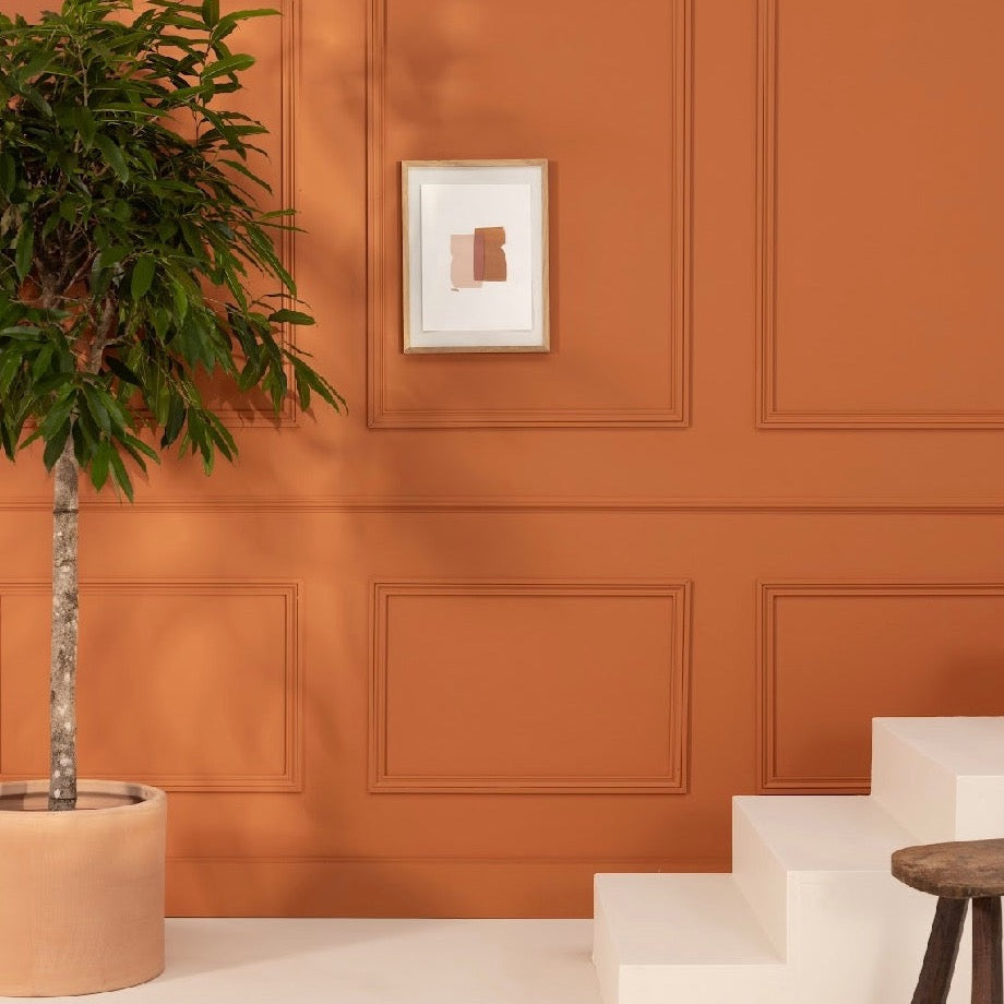 Intérieur aux murs Coup de foudre de Bilboquet Deco, orange terracotta avec moulures et grand ficus