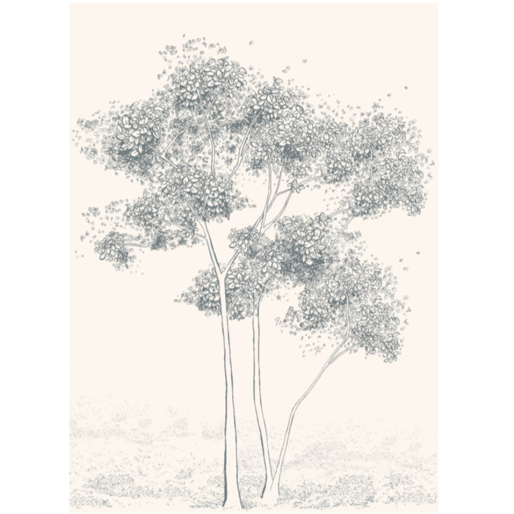 Echantillon - papier peint 